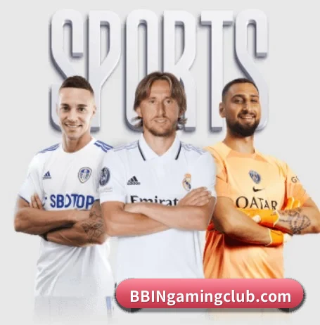 bbin真人官网 APP 界面
