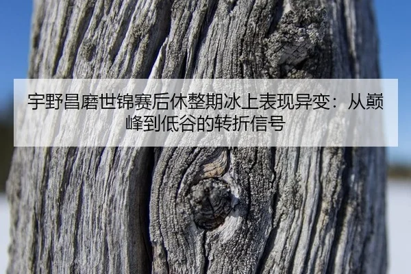 yu-ye-chang-mo-shi-jin-sai-hou-xiu-zheng-qi-bing-shang-biao-xian-yi-bian-cong-dian-feng-dao-di-gu-de-zhuan-zhe-xin-hao-2-285.jpg