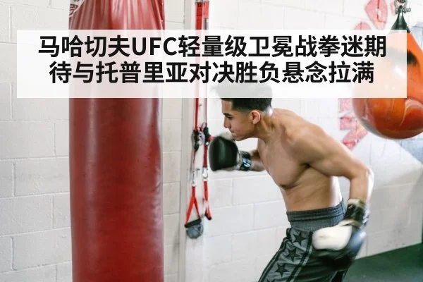 boxer training punching speed