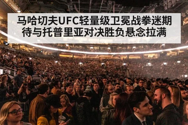 UFC octagon arena crowd