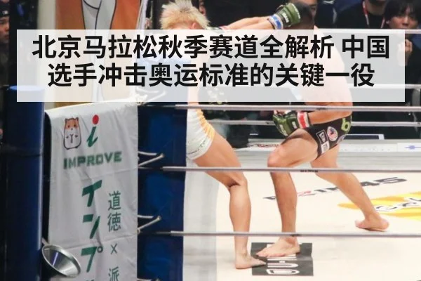 北京马拉松秋季赛道全解析 中国选手冲击奥运标准的关键一役