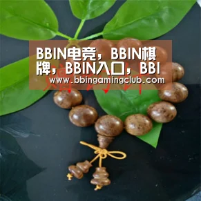 BBIN电竞，BBIN棋牌，BBIN入口，BBIN百家乐