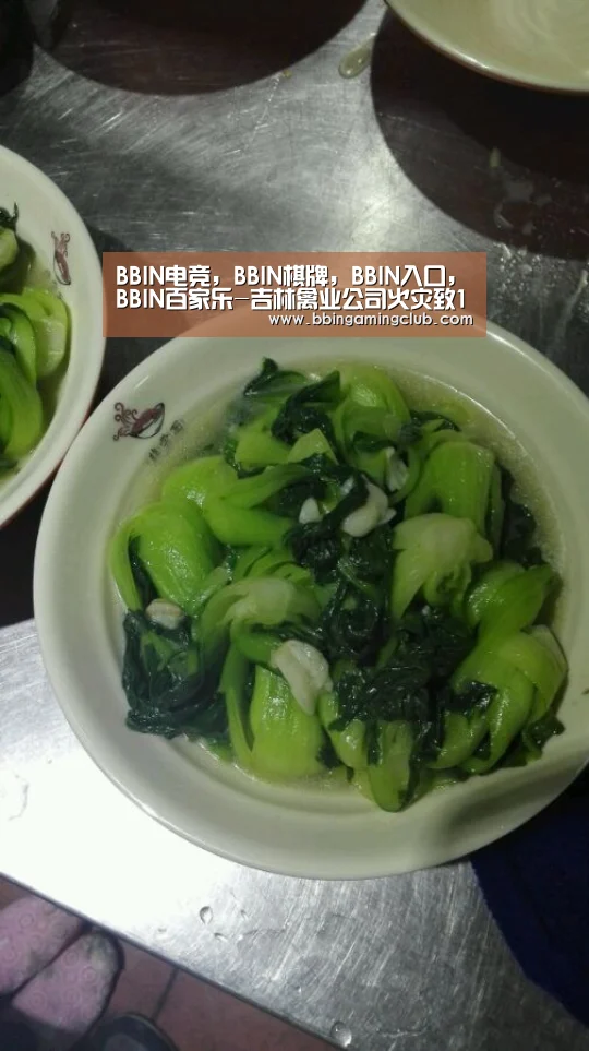 BBIN电竞，BBIN棋牌，BBIN入口，BBIN百家乐